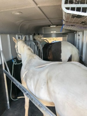 Double Angle Loader Extra Length & Width Bays 